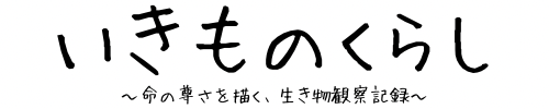いきものぐらし